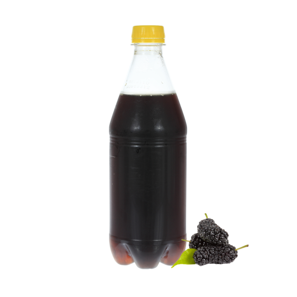 Ev Yapımı Karadut Özü