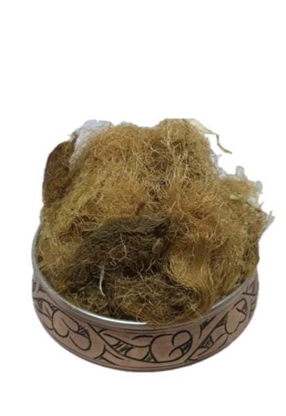 Mısır Püskülü 40 Gr