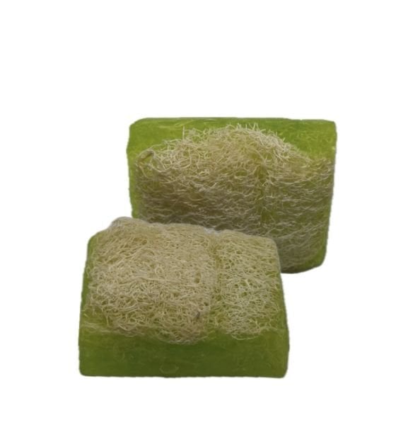 El Yapımı Aloevera Sabunu